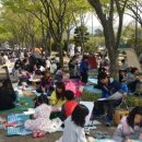 고향의 봄 이미지