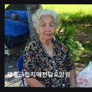 [충청도 요양원 추천] 영동군립치매전담요양원 안전한 환경에서 치매 전담 관리해요