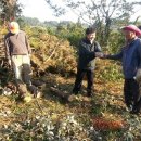 안덕신용협동조합 이미지