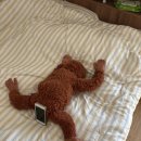 (주)에스이 | 30분째 제목 생각중…