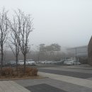 여주-1065 티스토리