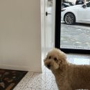 바울 | 쌍촌동 분위기 좋은 [바울카페(baul cafe) ]방문 후기