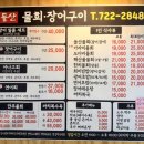 돌산아나고 이미지