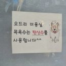 오드리 애견미용실 이미지