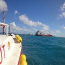 참치랑가재랑 이미지