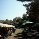 물골안랜드 | 남양주 수동 물골안유원지에서 심마니닭백숙 시식후기