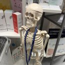 수선토탈 | 몸수선PT토탈케어샵 : 체형교정과 운동,마사지 토탈케어 가능한 원주 PT