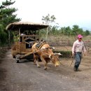 달구지마을 이미지