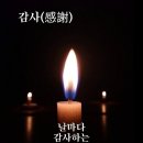 강화야채 네이버블로그