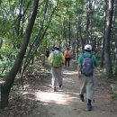 분당동 주민센터 이미지