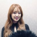 바비돌 이미지