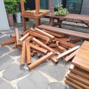 숲속장어 이미지