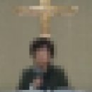 요한머리나라