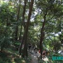 지심도유람선예약센터