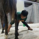 현수목장 이미지