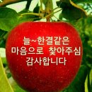 탈레반 아프가니스탄 여성 옷차림을 닮아가는 세상 이미지