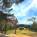 파주삼릉점 | 파주 삼릉 숲길 산책 세계문화유산 조선왕릉 주차후기