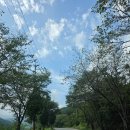 천성펜션 | 경남글 램핑 합천H글램핑 재방문 후기