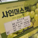 옥희농장 이미지