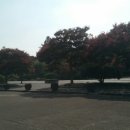 송정민박