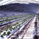 (주)새농 이미지