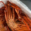 상주애견 이미지