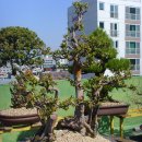 우림약품 이미지