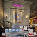 서울가든식당 | 서울 기념일 식당 압구정로데오 맛집 미미미가든 N번째 방문후기 /주차가능