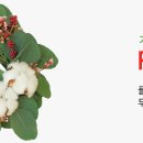 플라워포스트 이미지