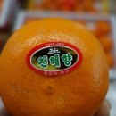 성산친환경영농법인 이미지