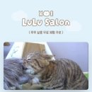 디디그루밍 이미지