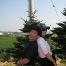 영한농장 이미지