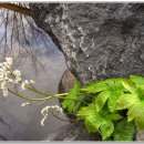 곡성-247 이미지