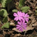 광덕산2로 이미지