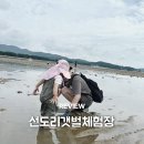 3월 서천그림책학교 | 서천 선도리갯벌체험장 후기 25개월 아기 갯벌체험 준비물 꿀팁