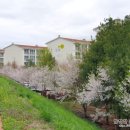 한국전력 함안지점 이미지