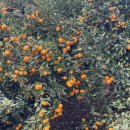 난산리마을회관 이미지