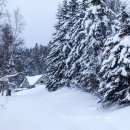 언덕위에하얀집 이미지