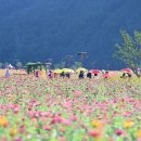 청송화원 이미지