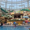 우리들푸드 | 스플레쉬베이 아이랑 물놀이 푸드코트 가격 맛 후기