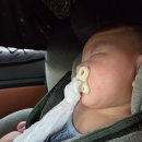 바다양푼이동태탕(강화읍점) 이미지