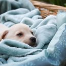 현대홈크리닝 이미지