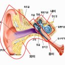 혈액순환장애 - 10. ﻿메니에르병의 원인과 해결책 - 균형과 안정은 물과 소금으로! 이미지