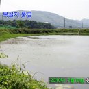 목골소류지 Daum카페