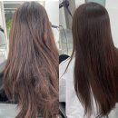 벨르헤어살롱 - 남구 효우2로26번길 26 | 을지로 그라벨르헤어 온실장님 클리닉 후기｜누워서 받는 클리닉, 효과 진심 역대급