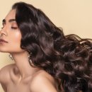 미용사자격증 이미지