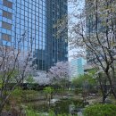 씨유역삼벚꽃길점 | 역삼 솥밥 친구랑 먹은 솥내음 스테이크,연어장솥밥 후기