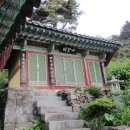 고성장의사