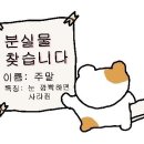 일미향 이미지
