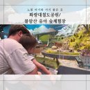 불암산공원서울유아숲체험장 네이버블로그